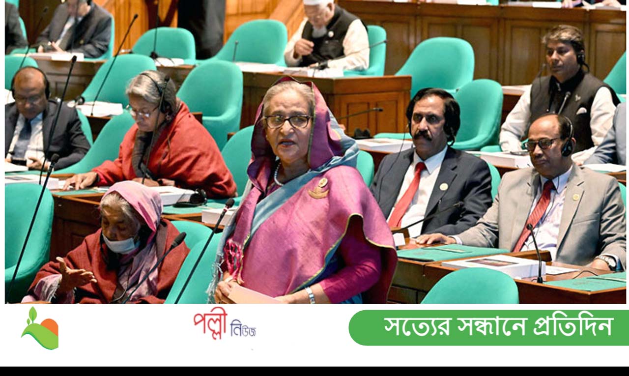 ছয় মাসে রেমিট্যান্স এসেছে ১২ হাজার মিলিয়ন ডলার : সংসদে প্রধানমন্ত্রী