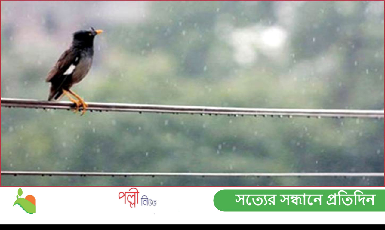 তিন বিভাগে গুঁড়িগুঁড়ি বৃষ্টি হতে পারে