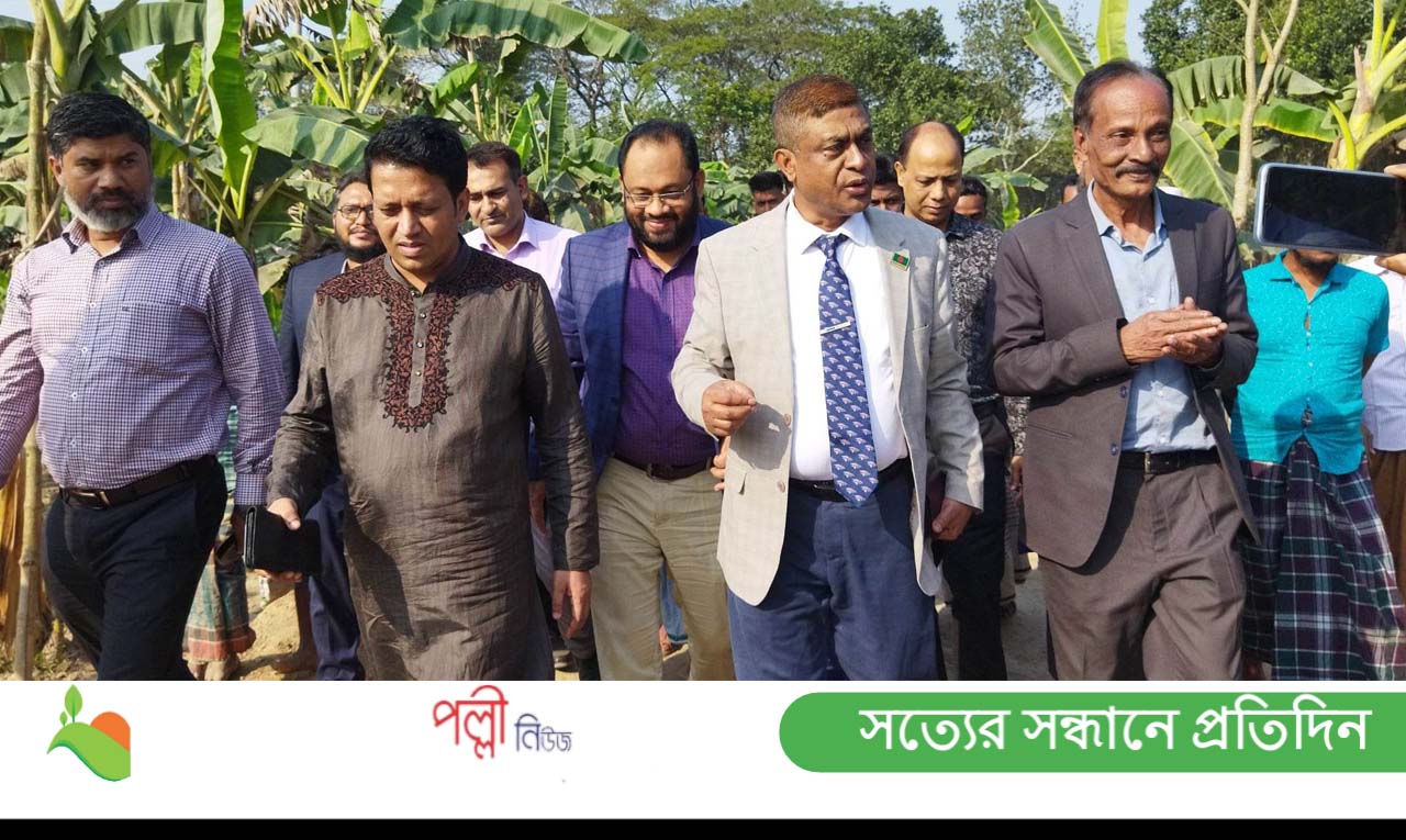 নরসিংদীতে দুর্যোগ ব্যবস্থাপনা মহাপরিচালকের গ্রামীণ রাস্তা পরিদর্শন