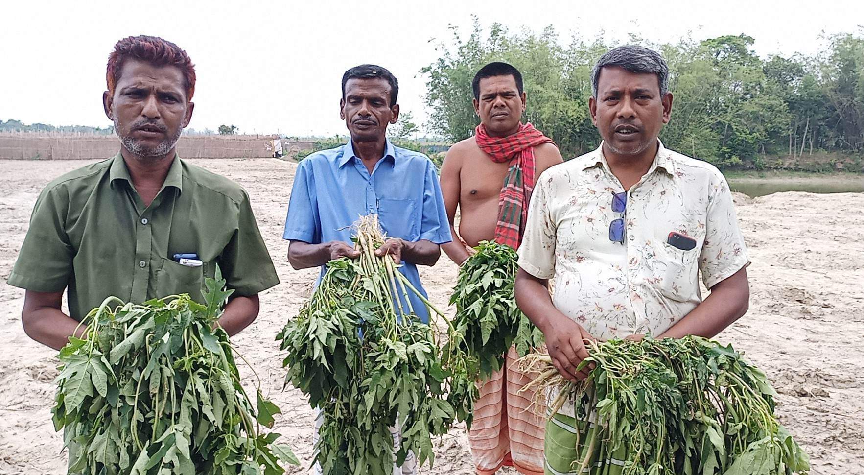 দুর্গাপুরে জমি নিয়ে বিরোধ, ৫ শতাধিক গাছ কর্তন