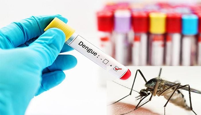 ডেঙ্গুতে আরও ১০ জনের মৃত্যু, হাসপাতালে ১৭৫৭
