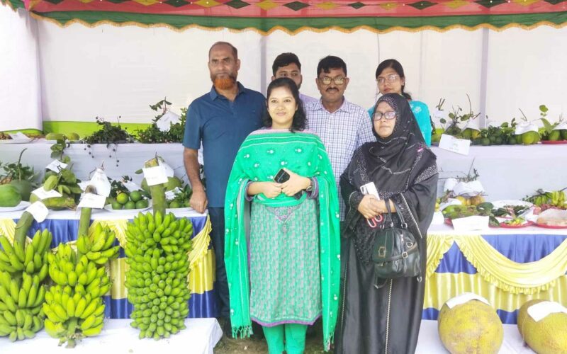 নরসিংদীতে তিন দিনব্যাপী ফল মেলার উদ্বোধন