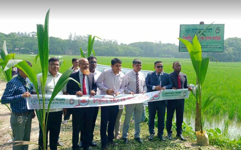 পূবালী ব্যাংকের উদ্যোগে কমলনগরে বৃক্ষরোপণ