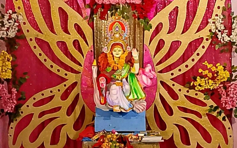 তজুমদ্দিনে নানা আয়োজনে উদযাপিত হলো সরস্বতী পূজা