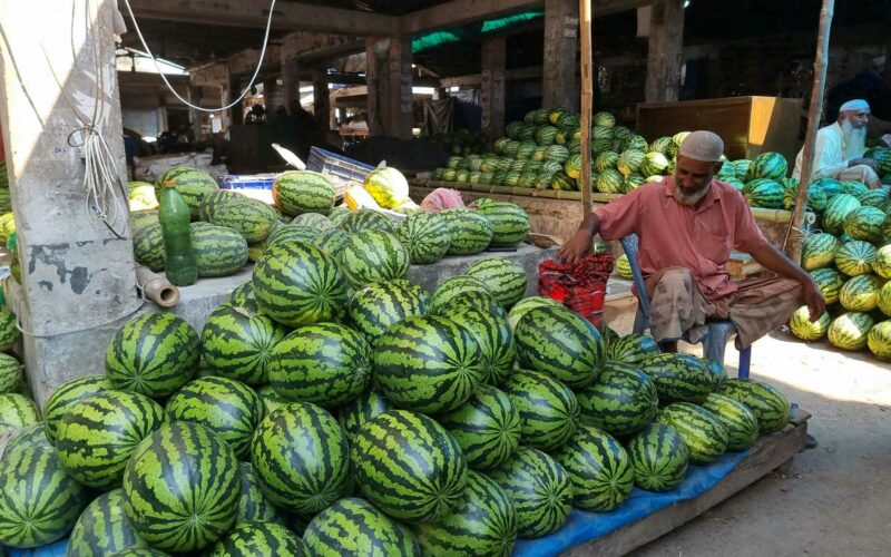 চাপা কষ্টে তরমুজ চাষী, বিক্রেতার অট্টহাসি