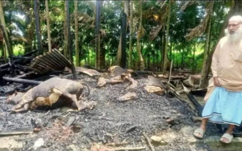 কমলনগরে দুর্বৃত্তের আগুনে পুড়ে ছাই কৃষকের স্বপ্ন