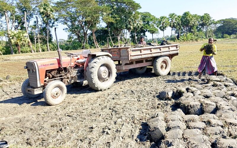 রামগঞ্জে নির্বিচারে লুট হচ্ছে ফসলি জমির টপসয়েল