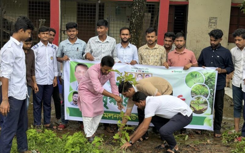 কমলনগরে ছাত্রদলের বৃক্ষ রোপণ কর্মসূচি