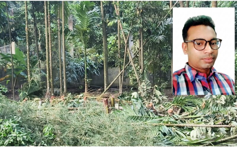 কমলনগরে গাছ কেটে প্রবাসীর বসতবাড়ি দখলের চেষ্টা, থানায় অভিযোগ 