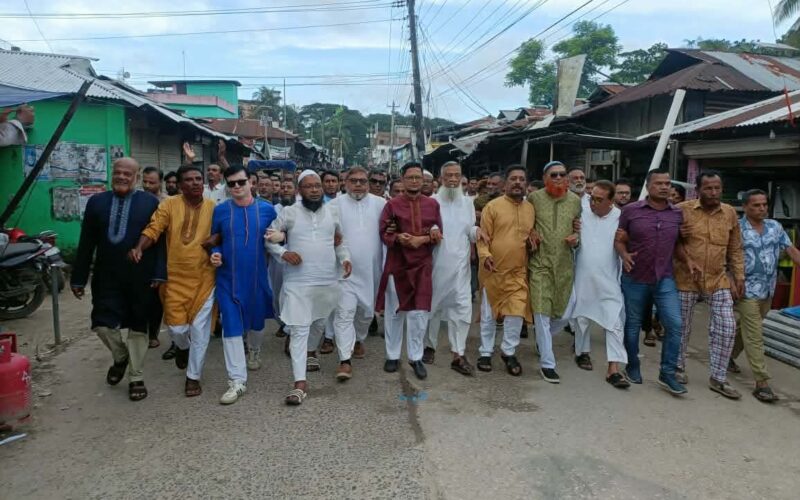 স্পিকার  রাষ্ট্রপতির দায়িত্ব নেওয়ায় তজুমদ্দিনে বিএনপির আনন্দ মিছিল