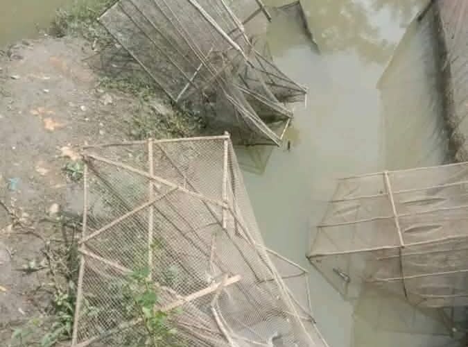 চিংড়ি ঘেরে হামলা-ভাঙচুর, মাছ ধরে নেওয়ার অভিযোগ; ক্ষতি ২ লাখ