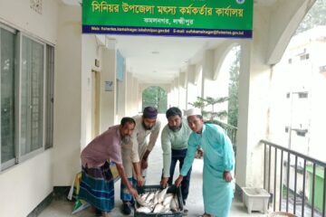 অবৈধ ইলিশ বিক্রি; হাজিরহাটে ২৫ কেজি ইলিশ জব্দ, এতিমখানায় বিতরণ